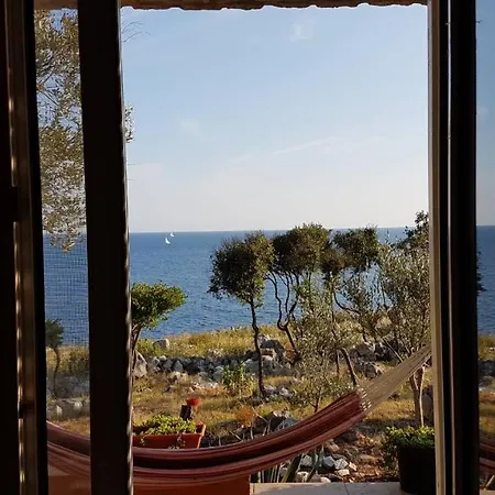 Panorama *